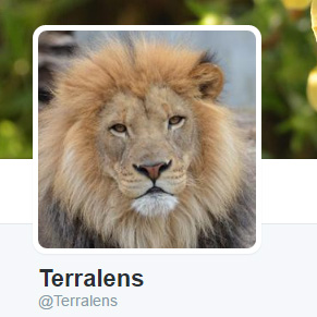 Terralens on Twitter